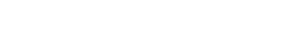 Foundation Wellness Family of Brands logo