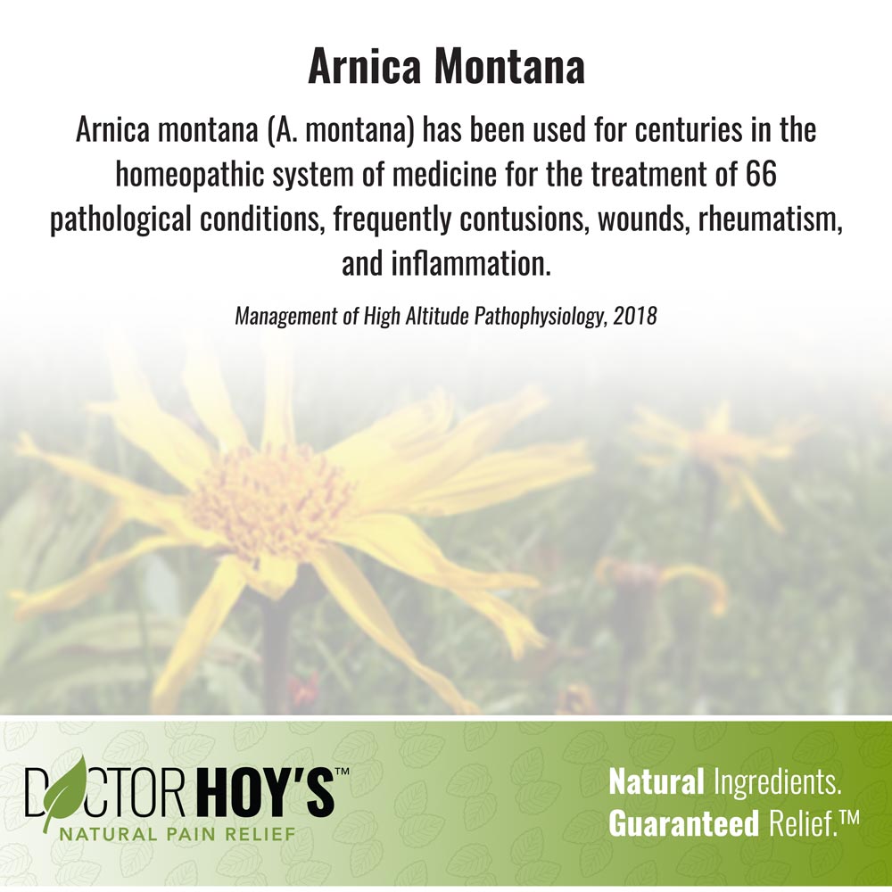 Arnica montana (A. montana) has been used for centuries in the homeopathic system of medicine for the treatment of 66 pathological conditions, frequently contusions, wounds, rheumatism, and inflammation - Management of High Altitude Pathophysiology, 2018